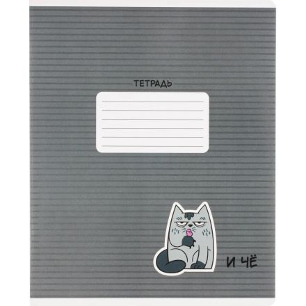 Тетрадь 18л, линия,А5+ ГЕРОИ С ХАРАКТЕРОМ,ассортимент 70910 Тетрадь 18л, линия,А5+ ГЕРОИ С ХАРАКТЕРОМ,ассортимент 70910
