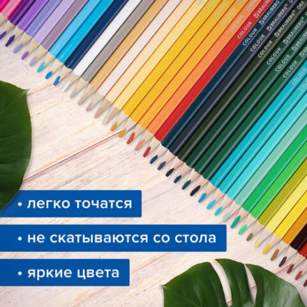 Карандаши цветные супермягкие яркие BRAUBERG MAX, 50 цветов, трехгранные, грифель 3,3 мм, натуральное дерево, 181860
