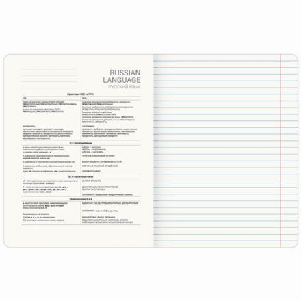 Тетрадь предметная "ANIME GIRLS" 48 л., матовая ламинация, РУССКИЙ ЯЗЫК, линия, подсказ, BRAUBERG, 404755