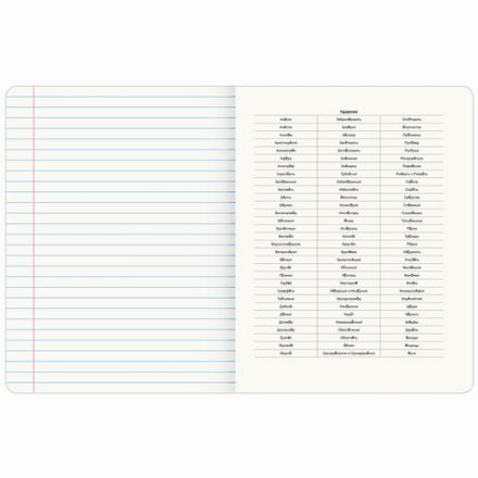 Тетрадь предметная "ANIME GIRLS" 48 л., матовая ламинация, РУССКИЙ ЯЗЫК, линия, подсказ, BRAUBERG, 404755