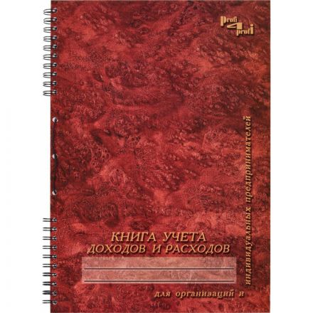 Журнал учета доходов и расходов (А4, 96 листов)