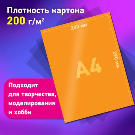 Набор цветного и белого картона мелованный A4 (белый 10 листов, цветной 20 листов, 10 цветов), BRAUBERG, 116423