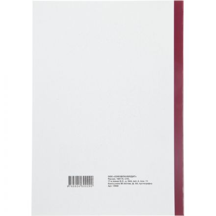 Книга учета бухгалтерская офсет А4 96 листов пустографка на скрепке (обложка - картон)