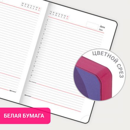 Ежедневник недатированный А5 (138х213 мм), BRAUBERG VISTA, под кожу, гибкий, 136 л., "Ultraviolet", 111988 Ежедневник недатированный А5 (138х213 мм), BRAUBERG VISTA, под кожу, гибкий, 136 л., "Ultraviolet", 111988