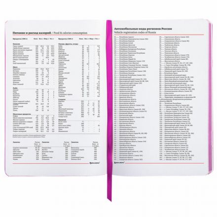 Ежедневник недатированный А5 (138х213 мм), BRAUBERG VISTA, под кожу, гибкий, 136 л., "Ultraviolet", 111988 Ежедневник недатированный А5 (138х213 мм), BRAUBERG VISTA, под кожу, гибкий, 136 л., "Ultraviolet", 111988