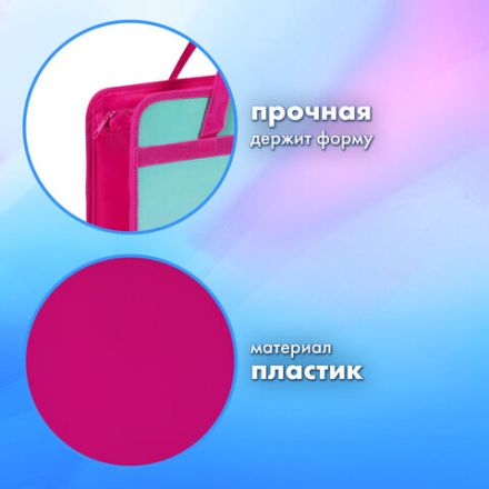 Папка на молнии с ручками BRAUBERG А4, 1 отделение, пластик, 80 мм, "Anime city", 271468 Папка на молнии с ручками BRAUBERG А4, 1 отделение, пластик, 80 мм, "Anime city", 271468