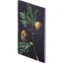 Бизнес-тетрадь, BS, А4, 96л., клетка, мягкий, спираль. Flora, инжир, N4283