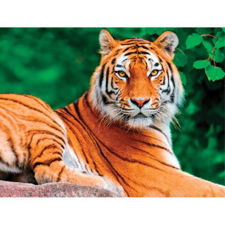 Картина стразами (алмазная мозаика) 40х50 см, ОСТРОВ СОКРОВИЩ "Тигр", на подрамнике, 662427 Картина стразами (алмазная мозаика) 40х50 см, ОСТРОВ СОКРОВИЩ "Тигр", на подрамнике, 662427