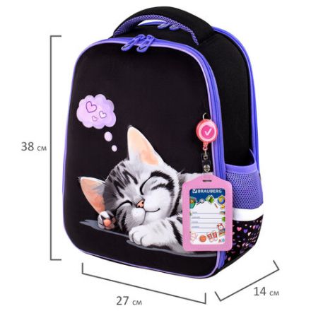 Ранец BRAUBERG FIT, 2 отделения, Sleeping kitten, велюровая панель, 38х27х14 см, 273107