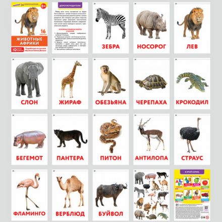 Карточки Домана, 8 развивающих брошюр по методике ГЛЕННА ДОМАНА, 145 изображений, ЮНЛАНДИЯ, 691022