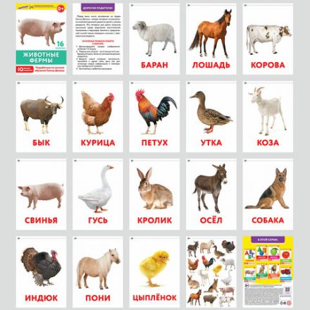 Карточки Домана, 8 развивающих брошюр по методике ГЛЕННА ДОМАНА, 145 изображений, ЮНЛАНДИЯ, 691022