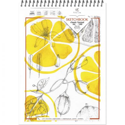 Скетчбук А4,40л,бл.офсет 100гр,бок.спир,жестк.подлож SKETCHBOOK100 2748 асс