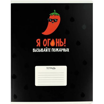 Тетрадь 24 л клетка ГЕРОИ С ХАРАКТЕРОМ А5+ 68545