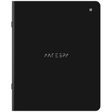 Тетради предметные, КОМПЛЕКТ 12 ПРЕДМЕТОВ, 48 л., матовая ламинация, BRAUBERG, "MINIMAL", 404831