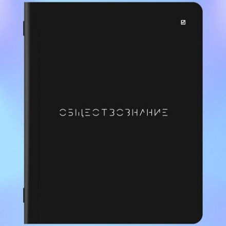 Тетради предметные, КОМПЛЕКТ 12 ПРЕДМЕТОВ, 48 л., матовая ламинация, BRAUBERG, "MINIMAL", 404831 Тетради предметные, КОМПЛЕКТ 12 ПРЕДМЕТОВ, 48 л., матовая ламинация, BRAUBERG, "MINIMAL", 404831