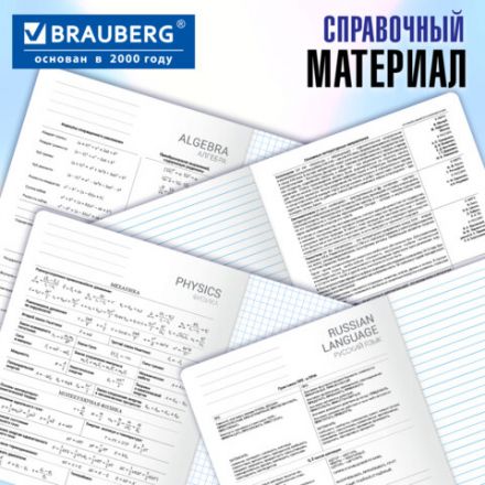 Тетради предметные, КОМПЛЕКТ 12 ПРЕДМЕТОВ, 48 л., матовая ламинация, BRAUBERG, "MINIMAL", 404831 Тетради предметные, КОМПЛЕКТ 12 ПРЕДМЕТОВ, 48 л., матовая ламинация, BRAUBERG, "MINIMAL", 404831