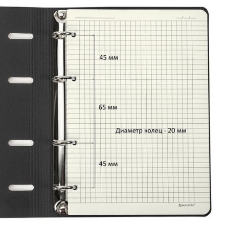 Тетрадь на кольцах А5 (180х220 мм), 80 листов, под кожу, клетка, тиснение фольгой, BRAUBERG VISTA, Avocado, 112130 Тетрадь на кольцах А5 (180х220 мм), 80 листов, под кожу, клетка, тиснение фольгой, BRAUBERG VISTA, Avocado, 112130