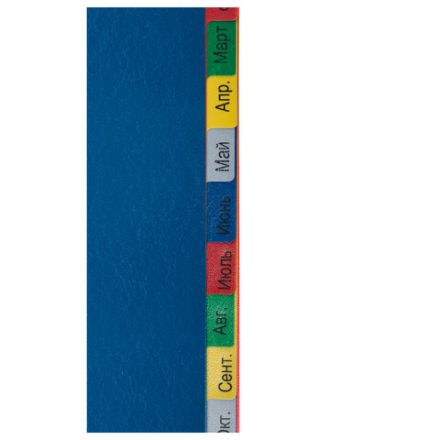 Разделитель пластиковый широкий BRAUBERG, А4+, 12 листов, Январь-Декабрь, оглавление, цветной, 225625 Разделитель пластиковый широкий BRAUBERG, А4+, 12 листов, Январь-Декабрь, оглавление, цветной, 225625