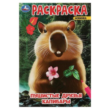 Книжка-раскраска "ПОПУЛЯРНЫЕ СЮЖЕТЫ" АССОРТИ, 145х210 мм, 16 страниц, "УМКА"