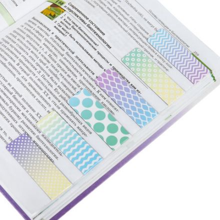 Закладки для книг МАГНИТНЫЕ, "GRADIENT", набор 12 шт., 60x20 мм, BRAUBERG, 113170 Закладки для книг МАГНИТНЫЕ, "GRADIENT", набор 12 шт., 60x20 мм, BRAUBERG, 113170