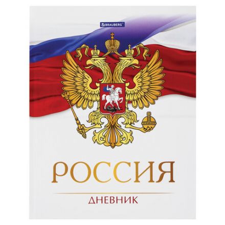 Дневник 5-11 класс 48 л., твердый, BRAUBERG, глянцевая ламинация, с подсказом, "Символика 2", 106067