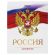 Дневник 5-11 класс 48 л., твердый, BRAUBERG, глянцевая ламинация, с подсказом, "Символика 2", 106067