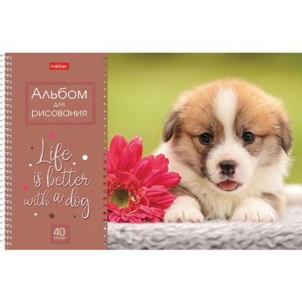 Альбом для рисования А4 40 л., спираль, обложка картон, HATBER, 205х290 мм, "Doggie-Щенки" (4 вида), 067478, 40А4Всп