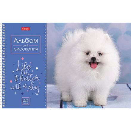 Альбом для рисования А4 40 л., спираль, обложка картон, HATBER, 205х290 мм, "Doggie-Щенки" (4 вида), 067478, 40А4Всп