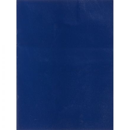 Тетрадь общая А4 96 листов в клетку на скрепке (обложка синяя, 050957)