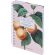 Тетрадь общая, BS, А5, 120л., точка, твердый, спираль. Flora, персики N4211