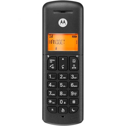 Радиотелефон Motorola DECT E202, цвет Черный), комплект из 2 трубок