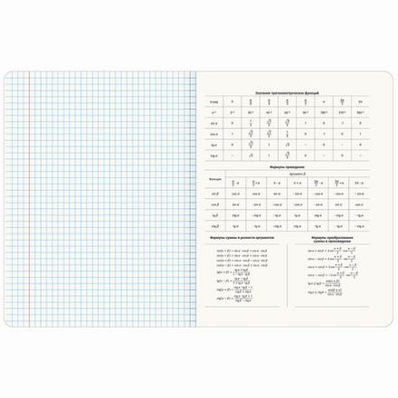 Тетради предметные, КОМПЛЕКТ 12 ПРЕДМЕТОВ, 48 л., матовая ламинация, BRAUBERG, "ANIME GIRLS", 404832