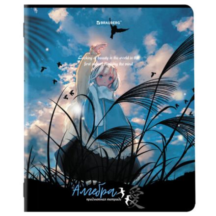 Тетради предметные, КОМПЛЕКТ 12 ПРЕДМЕТОВ, 48 л., матовая ламинация, BRAUBERG, "ANIME GIRLS", 404832