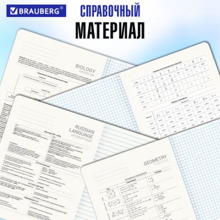 Тетради предметные, КОМПЛЕКТ 12 ПРЕДМЕТОВ, 48 л., матовая ламинация, BRAUBERG, "ANIME GIRLS", 404832 Тетради предметные, КОМПЛЕКТ 12 ПРЕДМЕТОВ, 48 л., матовая ламинация, BRAUBERG, "ANIME GIRLS", 404832