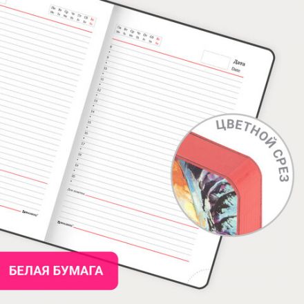 Ежедневник недатированный А5 (138х213 мм), BRAUBERG VISTA, под кожу, гибкий, 136 л., "Eye", 112004 Ежедневник недатированный А5 (138х213 мм), BRAUBERG VISTA, под кожу, гибкий, 136 л., "Eye", 112004