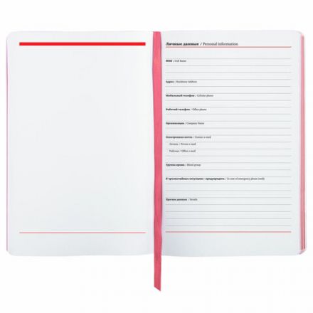 Ежедневник недатированный А5 (138х213 мм), BRAUBERG VISTA, под кожу, гибкий, 136 л., "Eye", 112004 Ежедневник недатированный А5 (138х213 мм), BRAUBERG VISTA, под кожу, гибкий, 136 л., "Eye", 112004