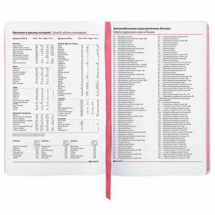 Ежедневник недатированный А5 (138х213 мм), BRAUBERG VISTA, под кожу, гибкий, 136 л., "Eye", 112004 Ежедневник недатированный А5 (138х213 мм), BRAUBERG VISTA, под кожу, гибкий, 136 л., "Eye", 112004