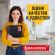 Папка на резинках BRAUBERG "Business", А4, 13 отделений, пластиковый индекс, черная, 0,5 мм, 224147