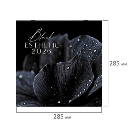 Календарь настенный перекидной 2026 г., BRAUBERG, 12 листов, 28,5х28,5 см, "Black esthetic", 116927 Календарь настенный перекидной 2026 г., BRAUBERG, 12 листов, 28,5х28,5 см, "Black esthetic", 116927