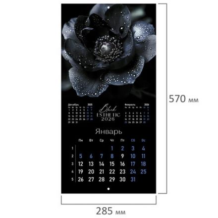Календарь настенный перекидной 2026 г., BRAUBERG, 12 листов, 28,5х28,5 см, "Black esthetic", 116927 Календарь настенный перекидной 2026 г., BRAUBERG, 12 листов, 28,5х28,5 см, "Black esthetic", 116927