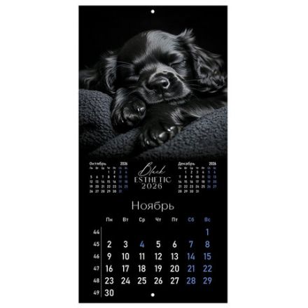 Календарь настенный перекидной 2026 г., BRAUBERG, 12 листов, 28,5х28,5 см, "Black esthetic", 116927 Календарь настенный перекидной 2026 г., BRAUBERG, 12 листов, 28,5х28,5 см, "Black esthetic", 116927