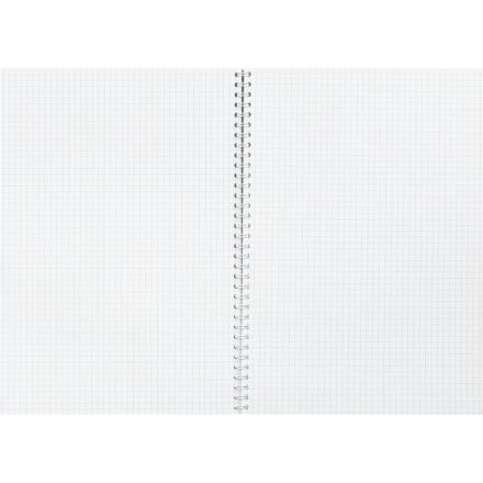 Бизнес-тетрадь А4,80л,кл,греб,обл.мат.лам. Attache Selection Pastel Полосы Бизнес-тетрадь А4,80л,кл,греб,обл.мат.лам. Attache Selection Pastel Полосы