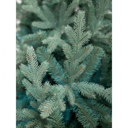 Елка искусственная Россо Премиум 1,8м литая резина/ПВХ, изумруд-зел 300-456 Елка искусственная Россо Премиум 1,8м литая резина/ПВХ, изумруд-зел 300-456