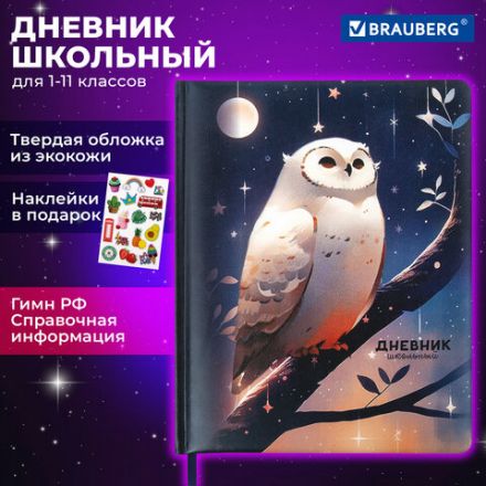 Дневник 1-11 класс 48 л., кожзам (твердая с поролоном), печать, наклейки, BRAUBERG, "Сова", 106947 Дневник 1-11 класс 48 л., кожзам (твердая с поролоном), печать, наклейки, BRAUBERG, "Сова", 106947