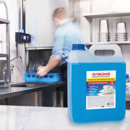 Средство для мытья посуды 5 л, ЛАЙМА PROFESSIONAL, антибактериальное, концентрат, 600197 Средство для мытья посуды 5 л, ЛАЙМА PROFESSIONAL, антибактериальное, концентрат, 600197