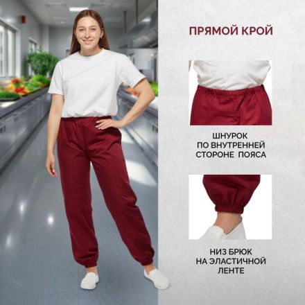Брюки для пищевого производства бордо универс.сат у17-БР (р.48-50)р.158-164 Брюки для пищевого производства бордо универс.сат у17-БР (р.48-50)р.158-164