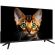 Телевизор 32 Topdevice TDTV32BS01H_BK, HD ready, смарт (WildRed) Телевизор 32 Topdevice TDTV32BS01H_BK, HD ready, смарт (WildRed)