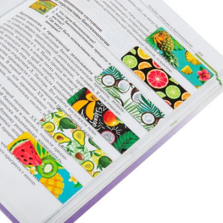 Закладки для книг МАГНИТНЫЕ, "FRUITS", набор 12 шт., 60x20 мм, BRAUBERG, 113173