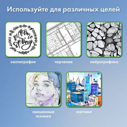 Капиллярные ручки линеры 6 шт. черные, 0,2/0,25/0,3/0,35/0,45/0,7 мм, BRAUBERG ART CLASSIC, 143942 Капиллярные ручки линеры 6 шт. черные, 0,2/0,25/0,3/0,35/0,45/0,7 мм, BRAUBERG ART CLASSIC, 143942