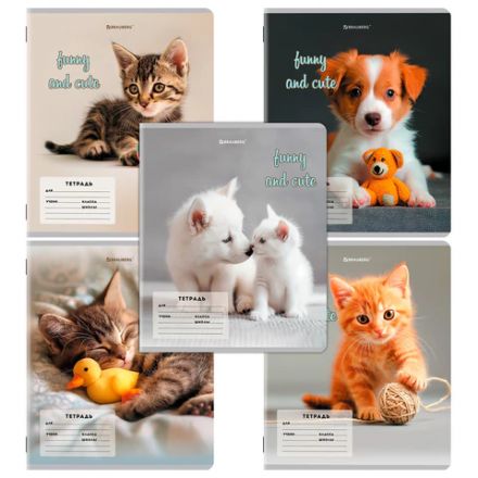 Тетрадь 12 л. BRAUBERG косая линия, обложка картон, CATS AND DOGS, 107288 Тетрадь 12 л. BRAUBERG косая линия, обложка картон, CATS AND DOGS, 107288